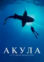  Акула со Стивом Бакшоллом смотреть онлайн тв шоу 1 сезон 